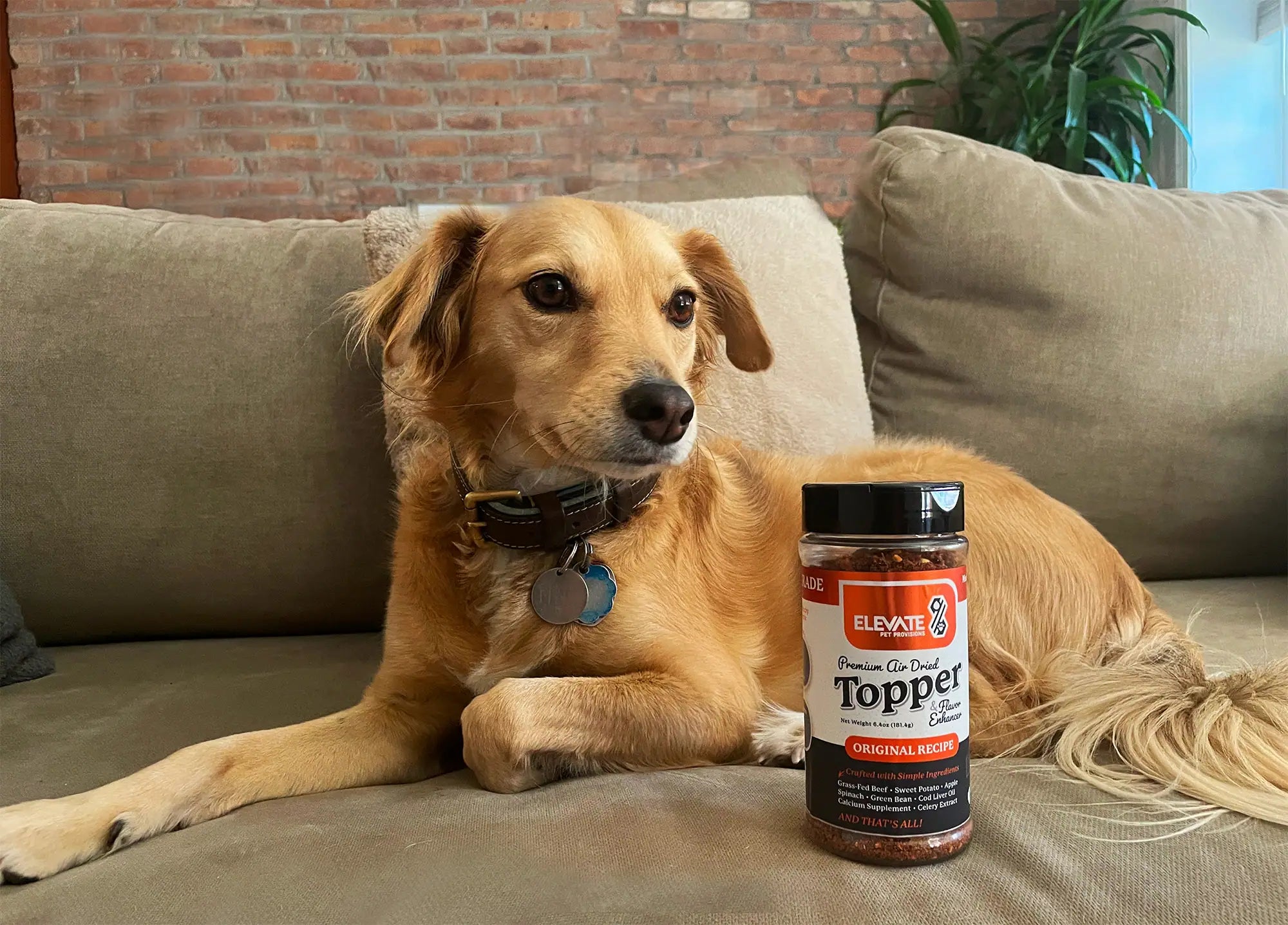 Treats & Toppers
