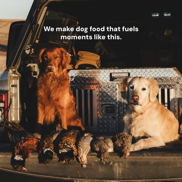 <p><strong>We're a dog food company that actually posts about bird hunting...</strong></p> Instagram photo