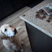 Backyard Bites Treats - Beef Formula
