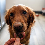 Backyard Bites Treats - Beef Formula