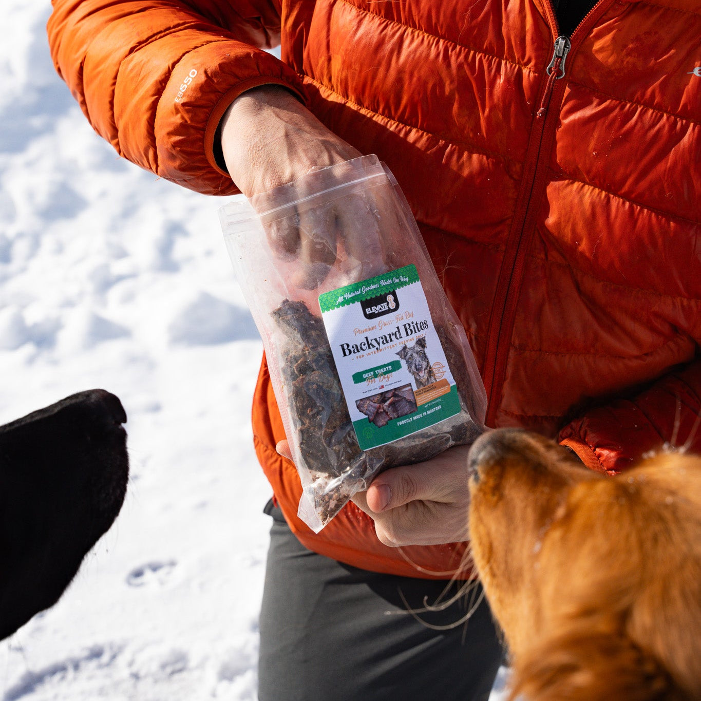 Backyard Bites Treats - Beef Formula