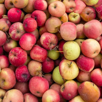 apples