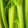 celery