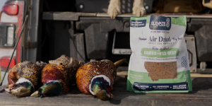 collectionImage-airDriedFood.png