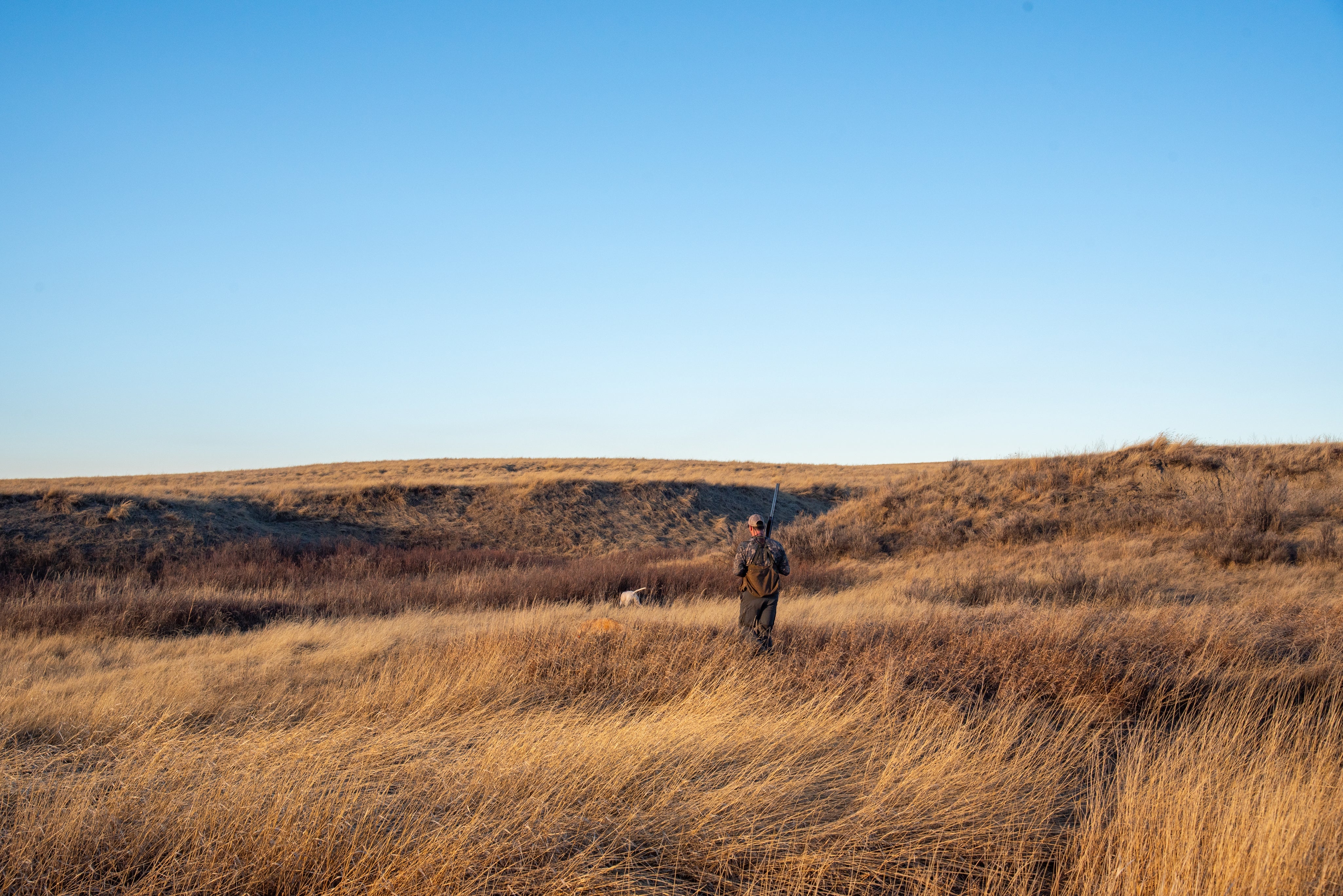 elevateSportDogNutr--6.jpg