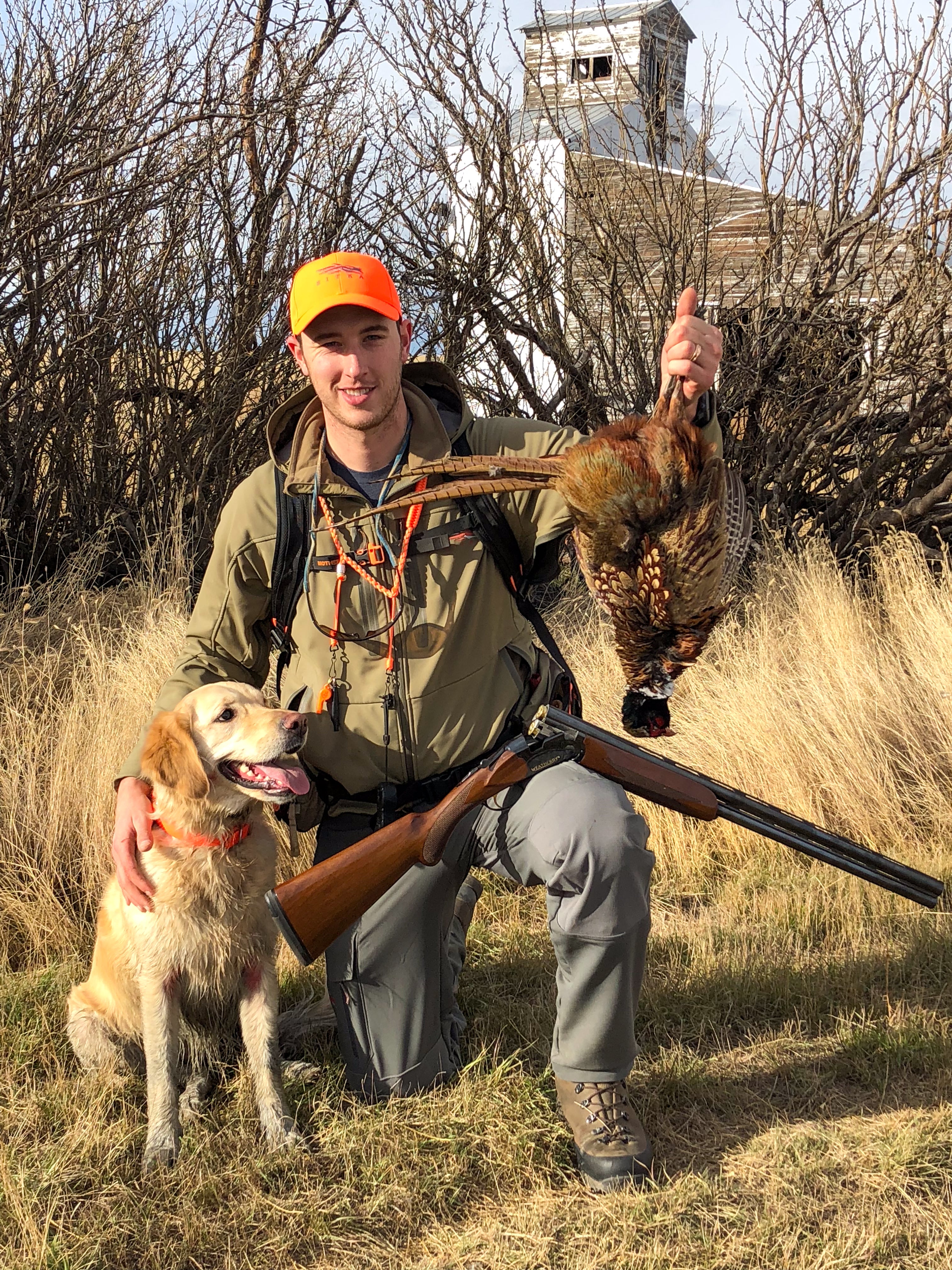 elevateSportDogNutr--7.jpg