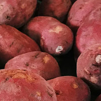 sweet potato